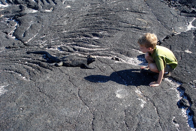 Benji checking out a marine iguana, or is it the other way around