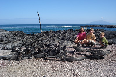posing with scores of marine iguanas