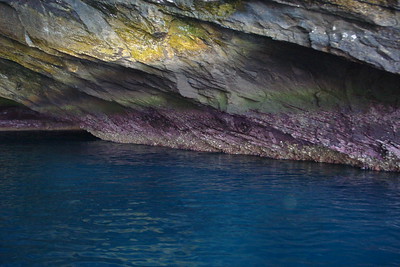we explored a cave on Isabella Island by zodiac