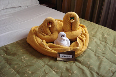 Juanito created a family of boobies on our last day