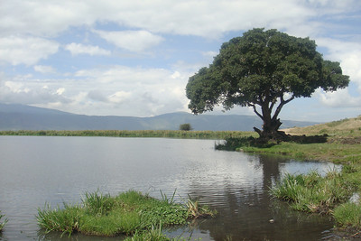 we stopped to "check the tire pressure" at this small lake