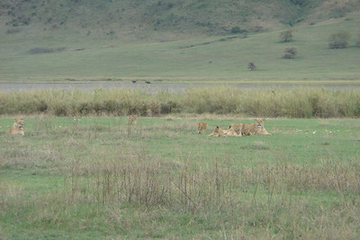 ...our guide predicted a showdown after nightfall