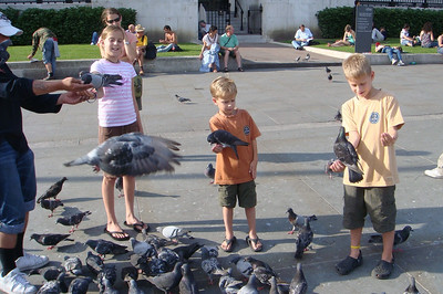 feeding the pigeons at Traflgar Square