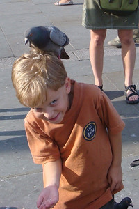 Photo 34