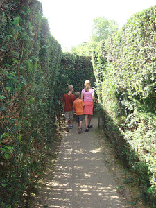 the hedge maze at Hampton Court