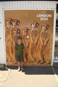 Benji and the meerkats!