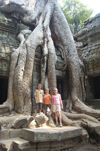 massive trees overtaking Ta Prohm temple