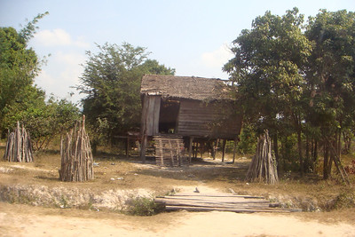 houses are built on stilts to avoid the floods and to help get air circulation