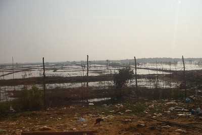 these will be rice paddies once the lake recedes a little more