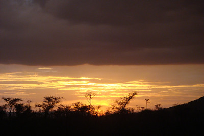 ...followed by a Serengeti sunset