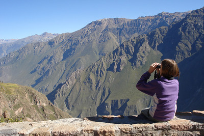 Alayna watching some condors in a nest far away