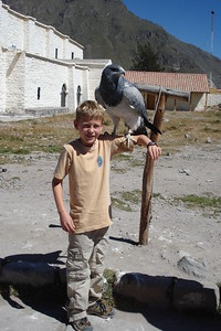 posing with a big buzzard