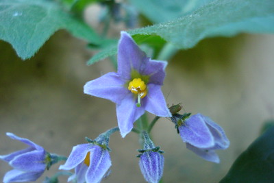Photo 28