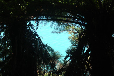 ,,,and took a few photos of the trees and scenery