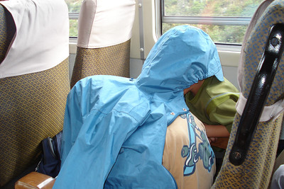the boys settled into some major DS playing on the train from Machu Picchu