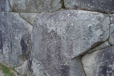 a llama head in the stones