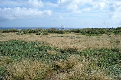 Española is the oldest and flatest of the Galapagos Islands