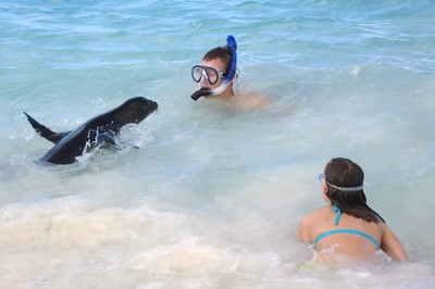 Clay face-to-face with the baby sea lion