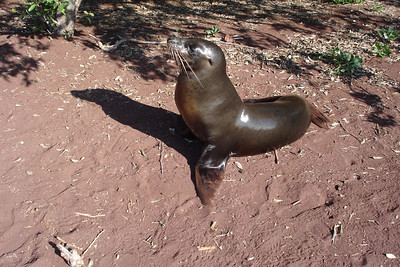 this guy came out to pose for some pictures