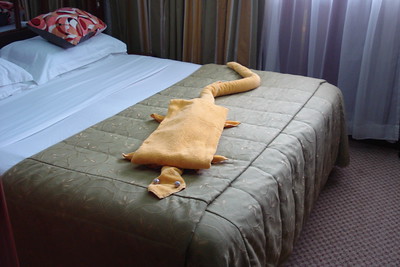 Juanito cleaned the rooms and made cool towel creatures, this is a marine iguana