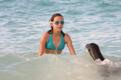 a baby sea lion came over to say hi to Alayna