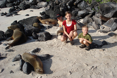 sea lions and marine iguanas  on Española Island
