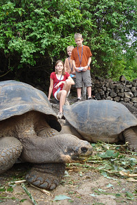 the kids and some giant tortoises
