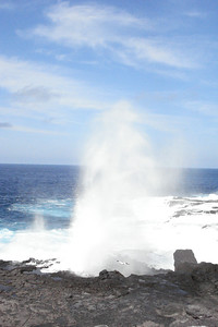 we stopped at the blow hole to watch the birds fly by