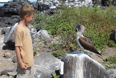 Nate face-to-beak with a blue-footed boobie