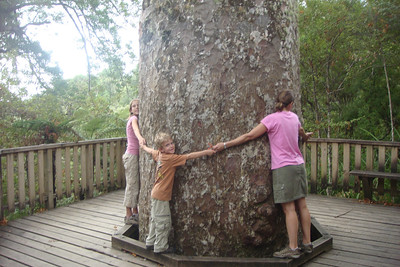 it took five of us to reach around this big one