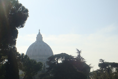 a view of St. Peter's from the Vatican garden