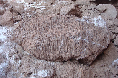 a boulder of salt "needles"