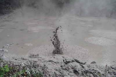 bubbling mud at the mud pools