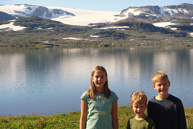 we stopped to see a glacier on the way to the fiords