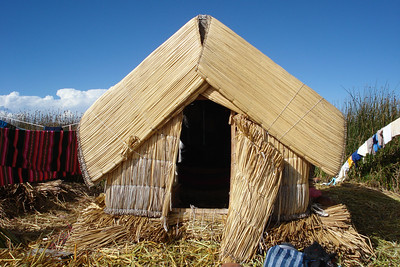 a typical house on the reeds