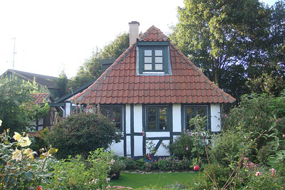 so many houses had beautiful flower gardens