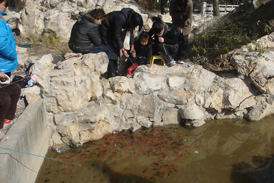 fishing with tiny poles for even tinier fish