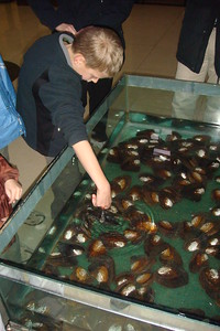 Nate fishing out an oyster at the oyster place