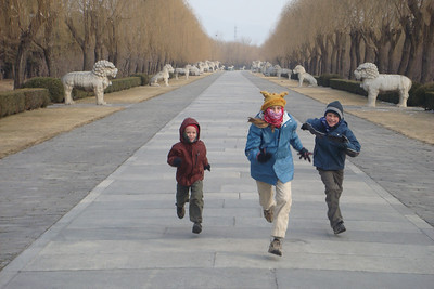 running down Spirit Avenue where animals guard the tombs