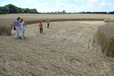 in the crop circle