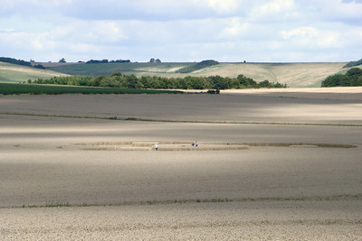 we spotted a crop circle in the wheat field