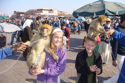 posing with monkeys in the Djemaa al-Fna square